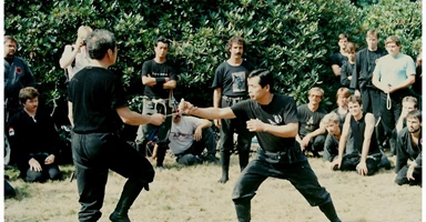 246870_10151150970916288_512294286_n